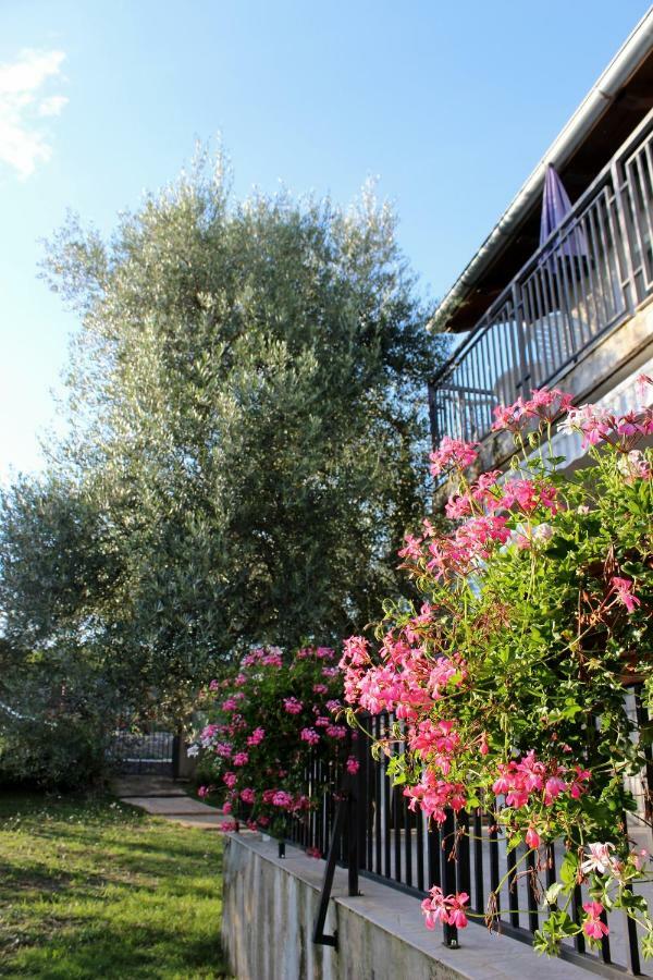 Turkovic Apartments Zgaljic Esterno foto