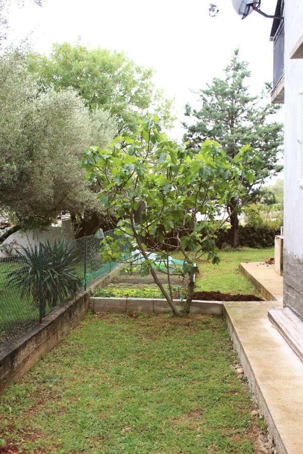 Turkovic Apartments Zgaljic Esterno foto